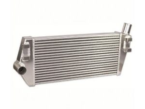 Renault Megane 225/R26/R26.R Forge Intercooler